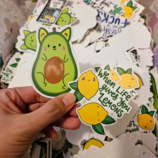 LIMITED TIME Mystery Sticker Pack (Set of 6)