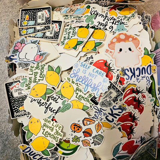 LIMITED TIME Mystery Sticker Pack (Set of 6)