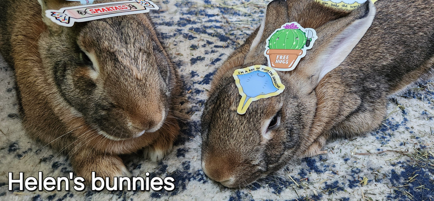 Free Hugs Cactus Vinyl Sticker