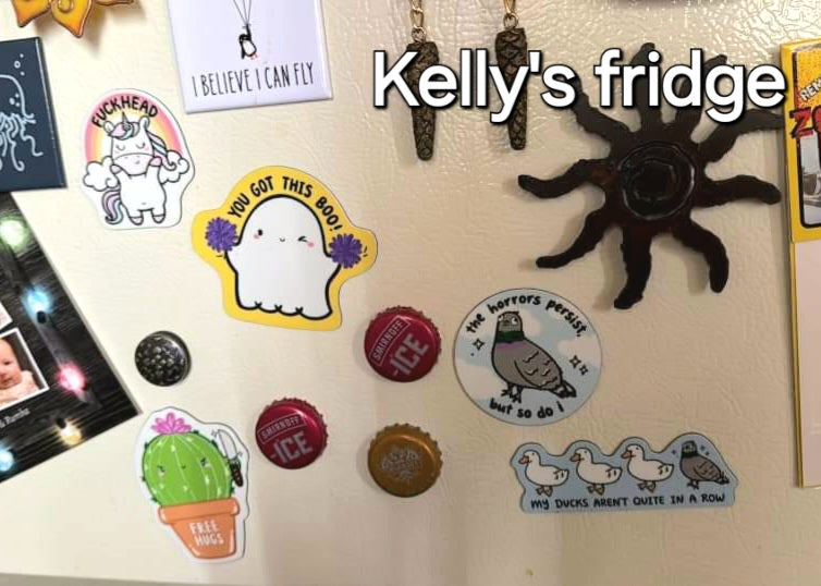 MAGNET: My Ducks Arent Quite in a Row Magnet