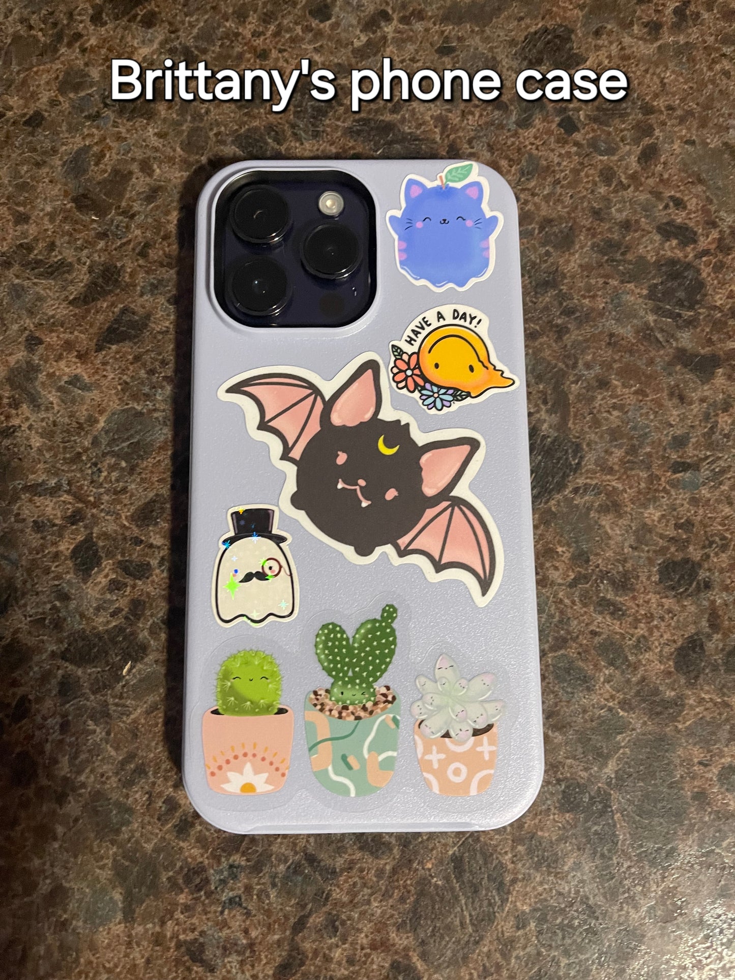 Smiling Succulents Clear Vinyl Sticker