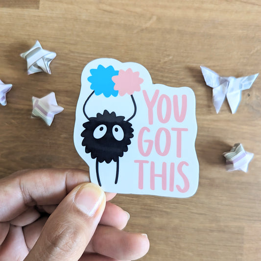 LAST CHANCE SALE MAGNET: You Got This Cheerleader Magnet