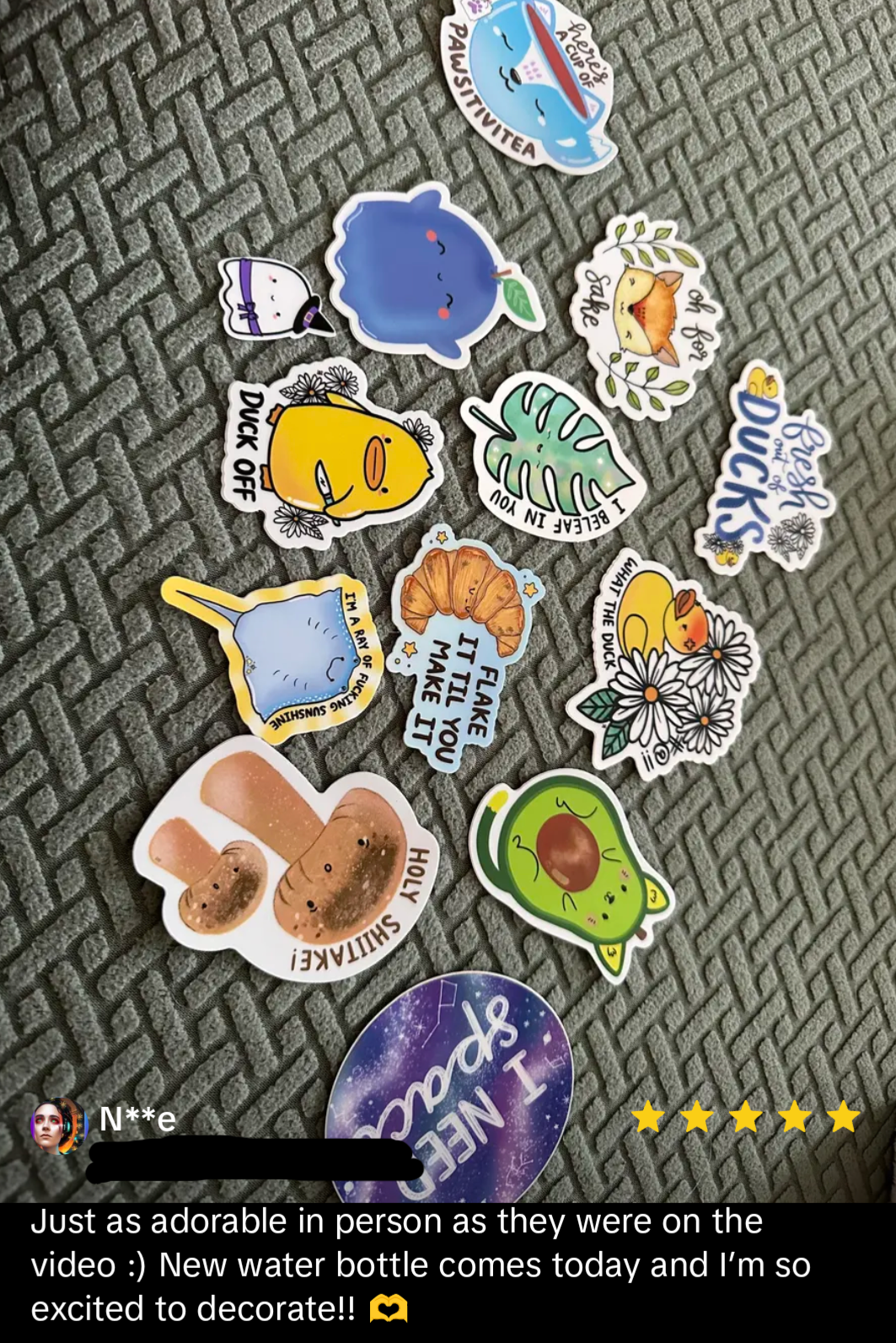 Pundle - Snarky Punny Sticker BUNDLE (Set of 12)