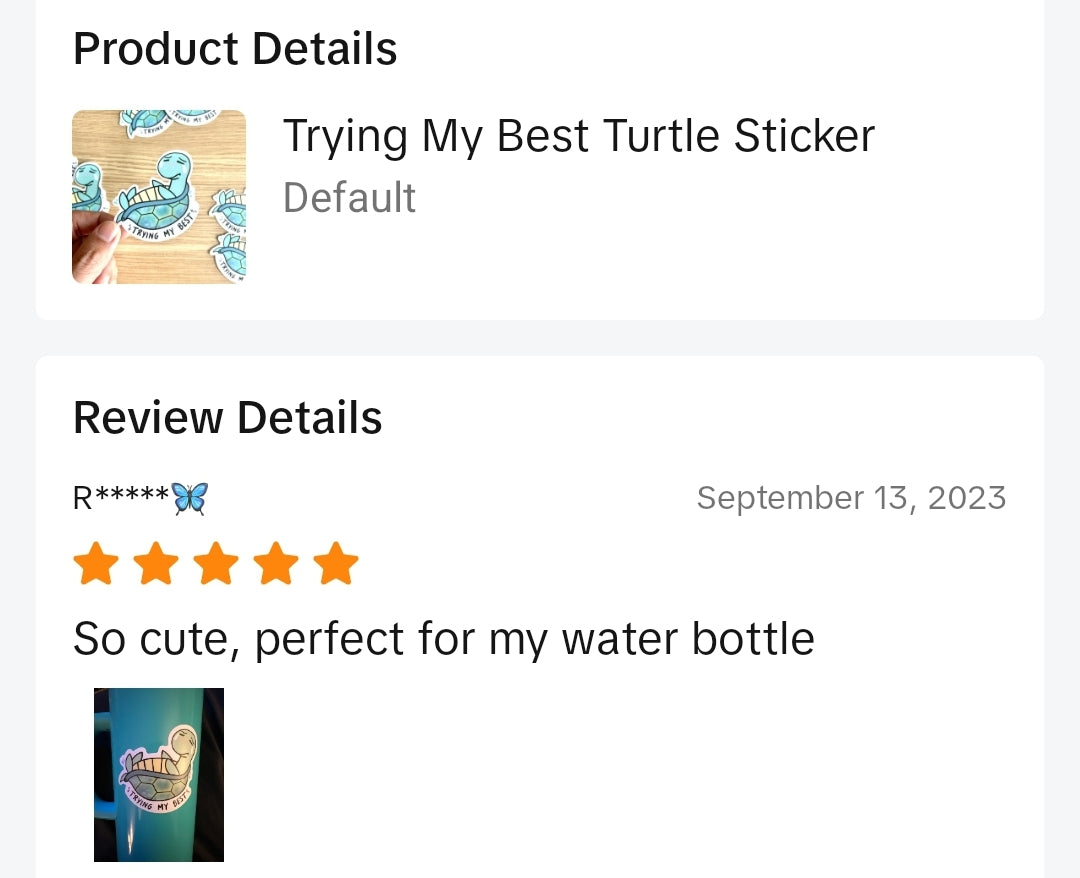Trying My Best Turtle Vinyl Sticker