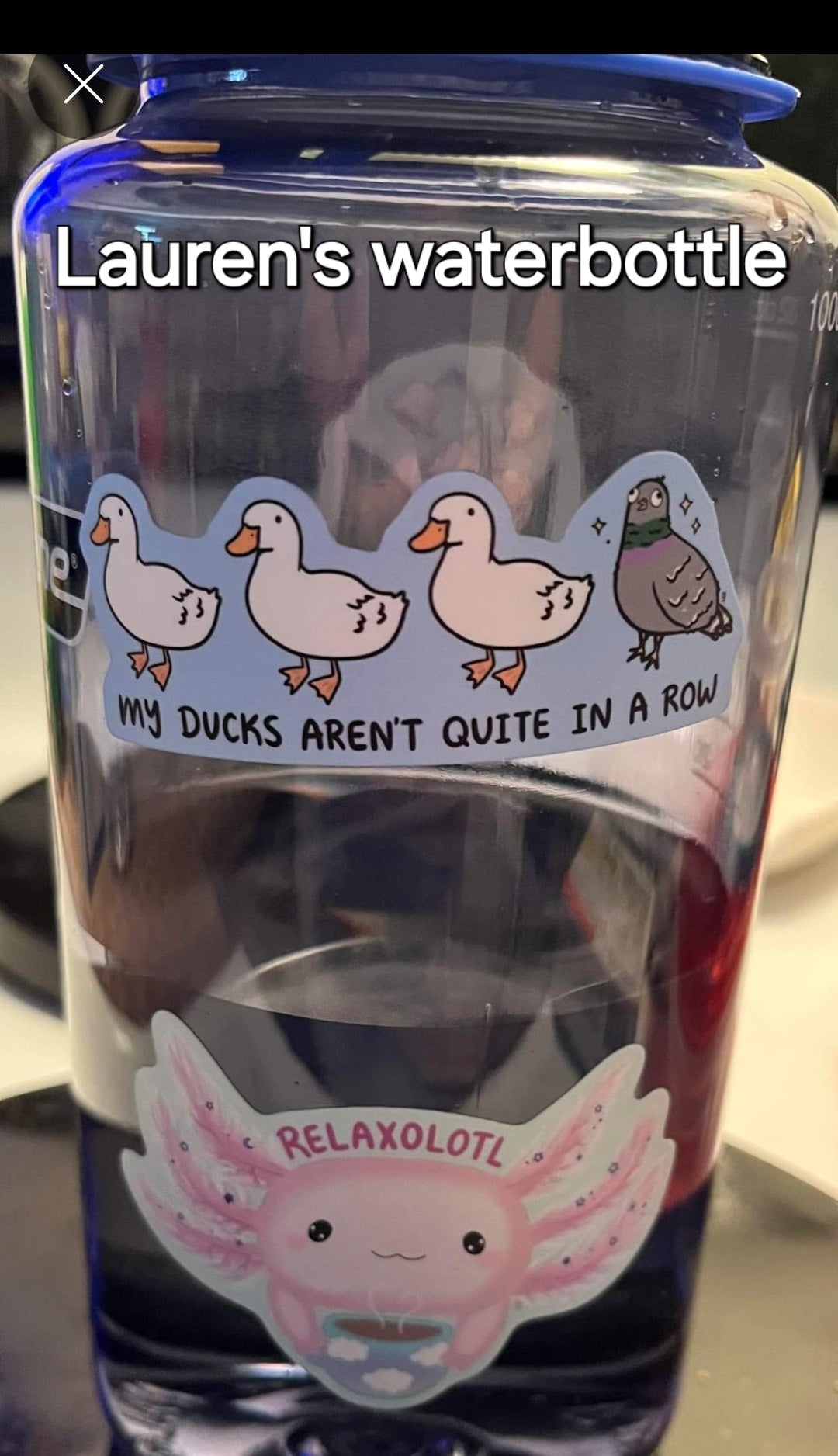 My Ducks Aren't Quite in a Row Vinyl Sticker