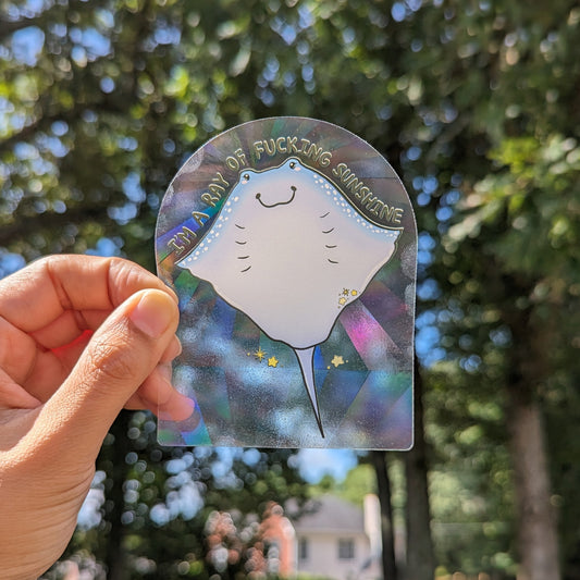 I'm a Ray of Fucking Sunshine Rainbow Decal Suncatcher