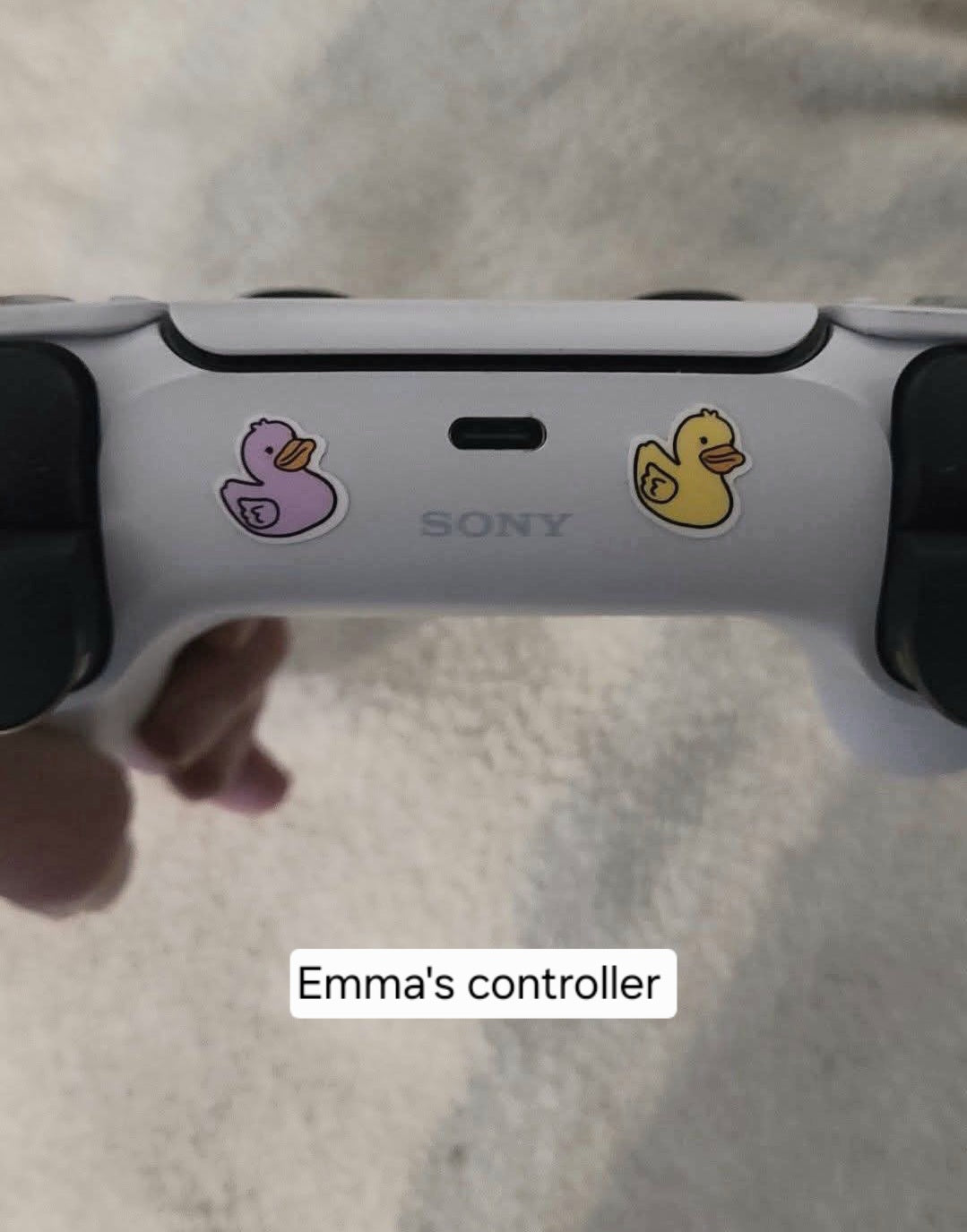 Naughty Birds Vinyl Sticker Sheet (4x6")