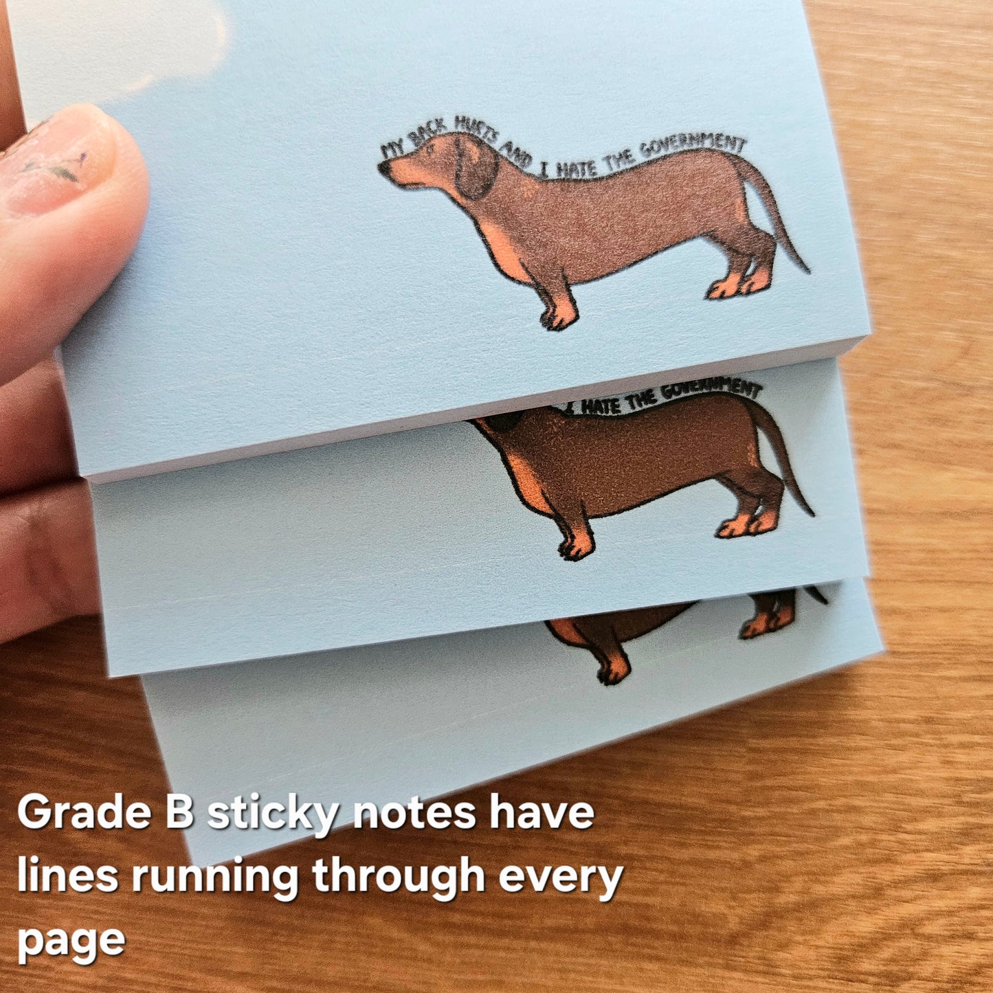 My Back Hurts and I Hate the Government Dachshund Sticky Notes