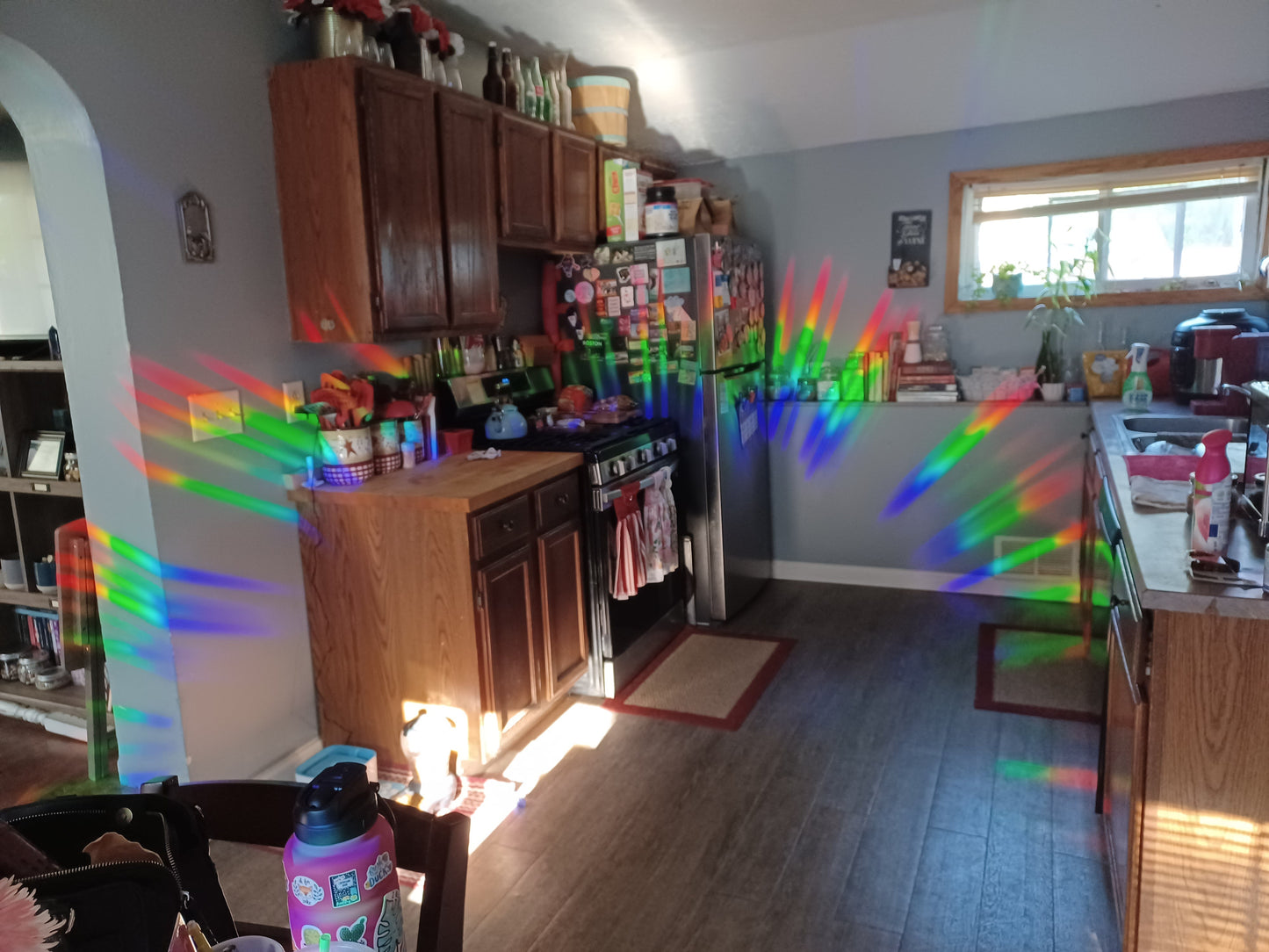 The Horrors Persist But So Do I Rainbow Decal Suncatcher