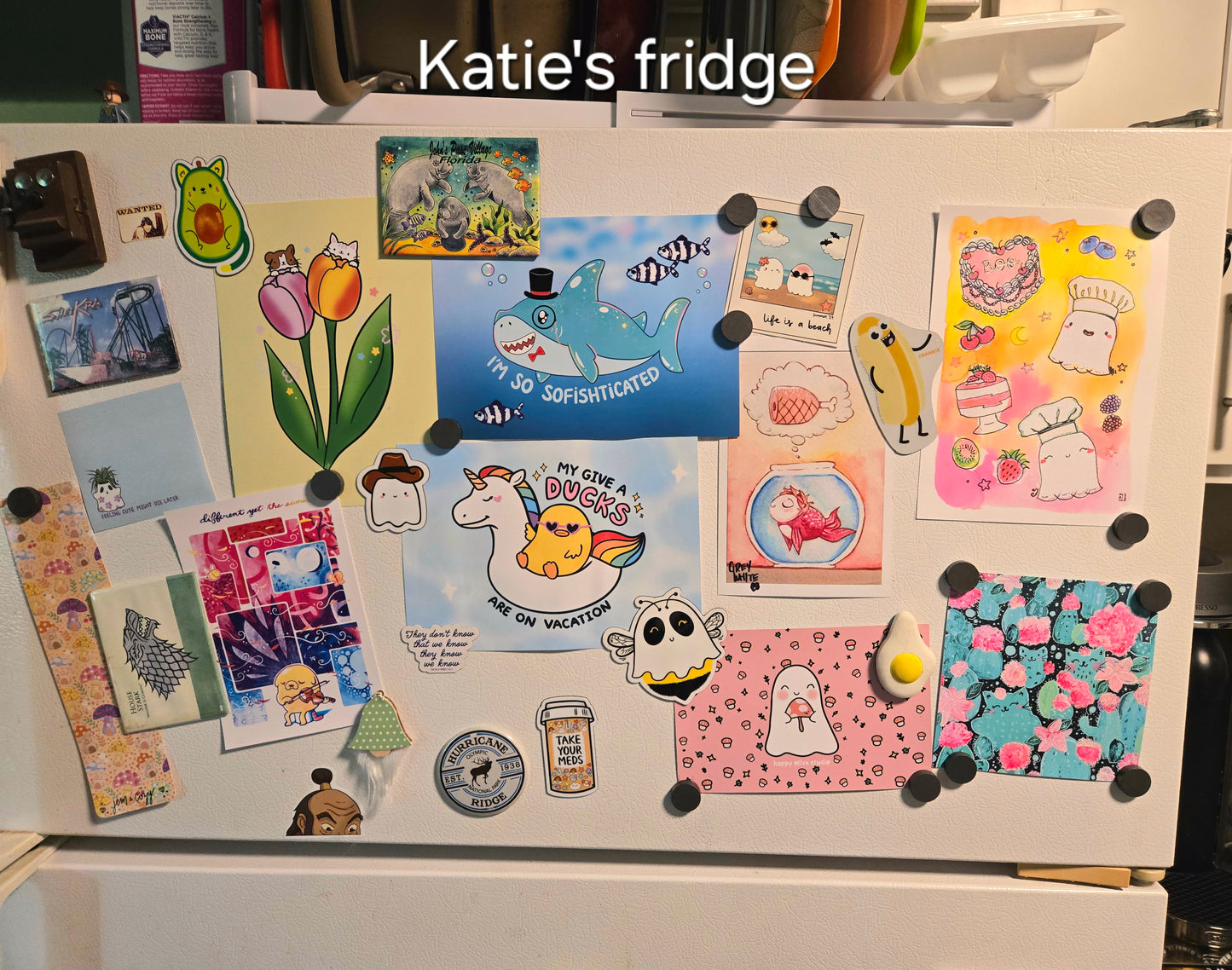 My Give a Ducks are on Vacation Art Print(5x7")