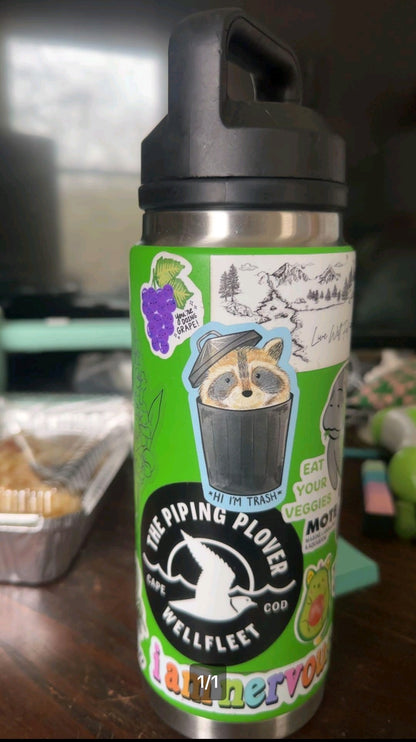 Hi I'm Trash Raccoon Holographic Vinyl Sticker