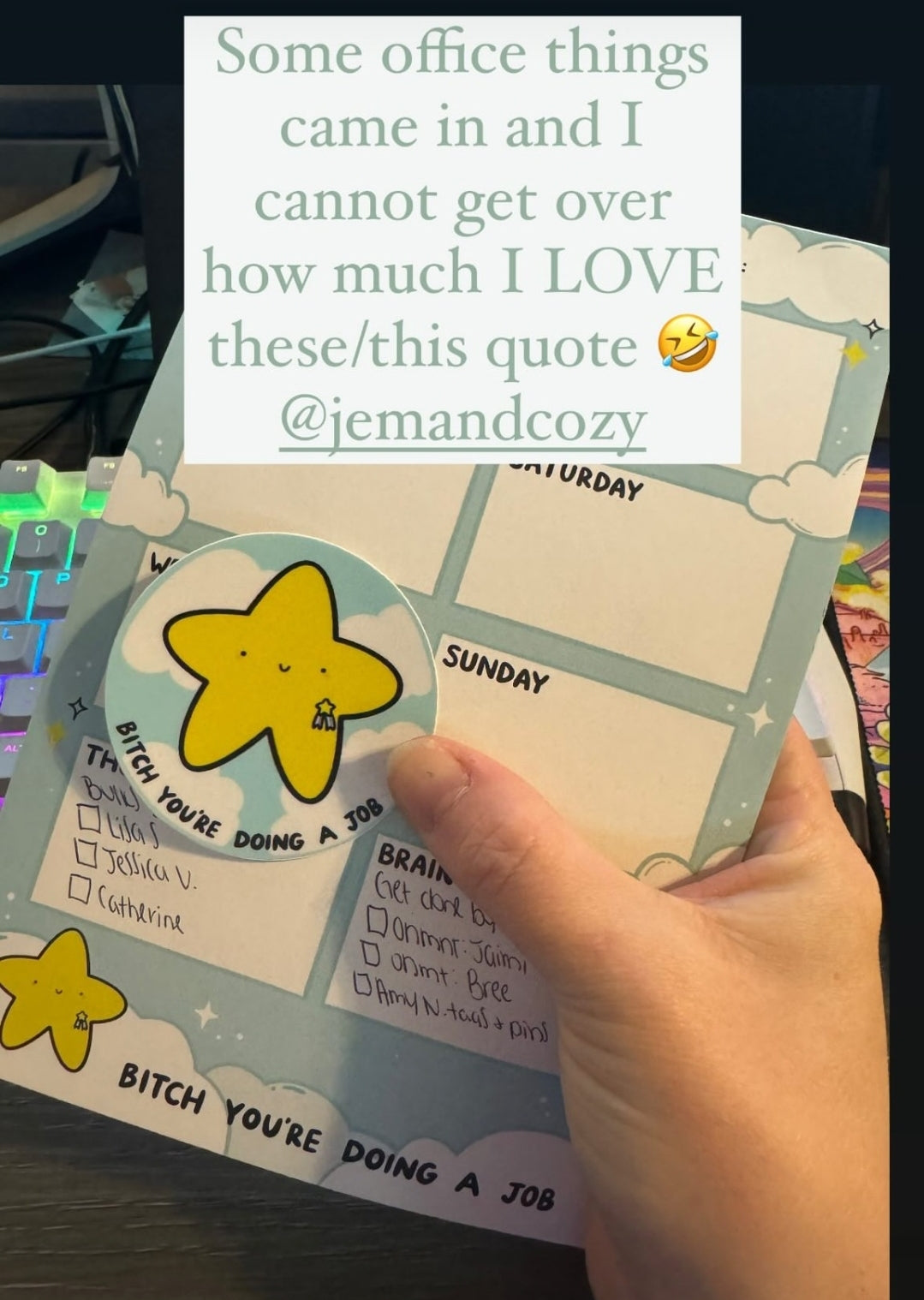 Bitch You're Doing a Job Weekly Planner Pad