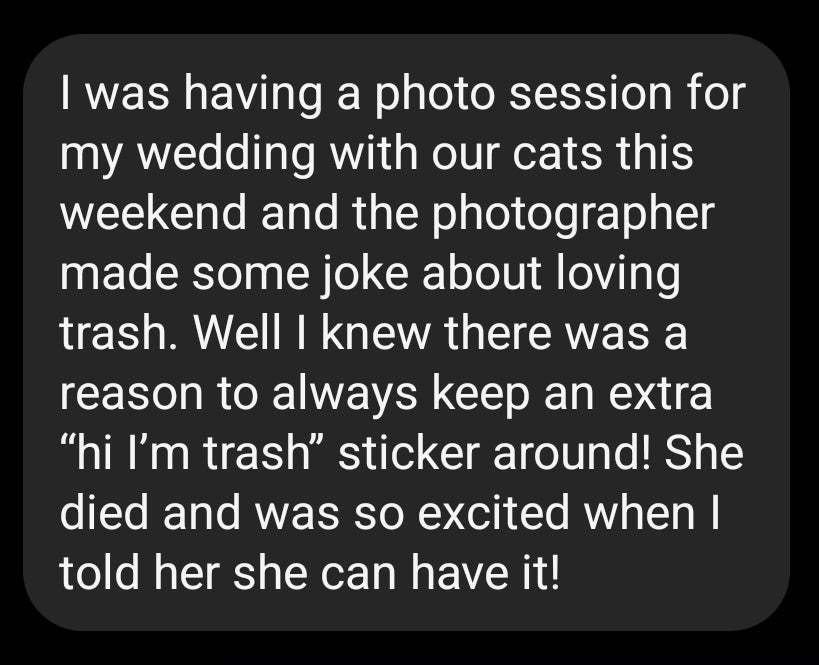 Hi I'm Trash Raccoon Holographic Vinyl Sticker