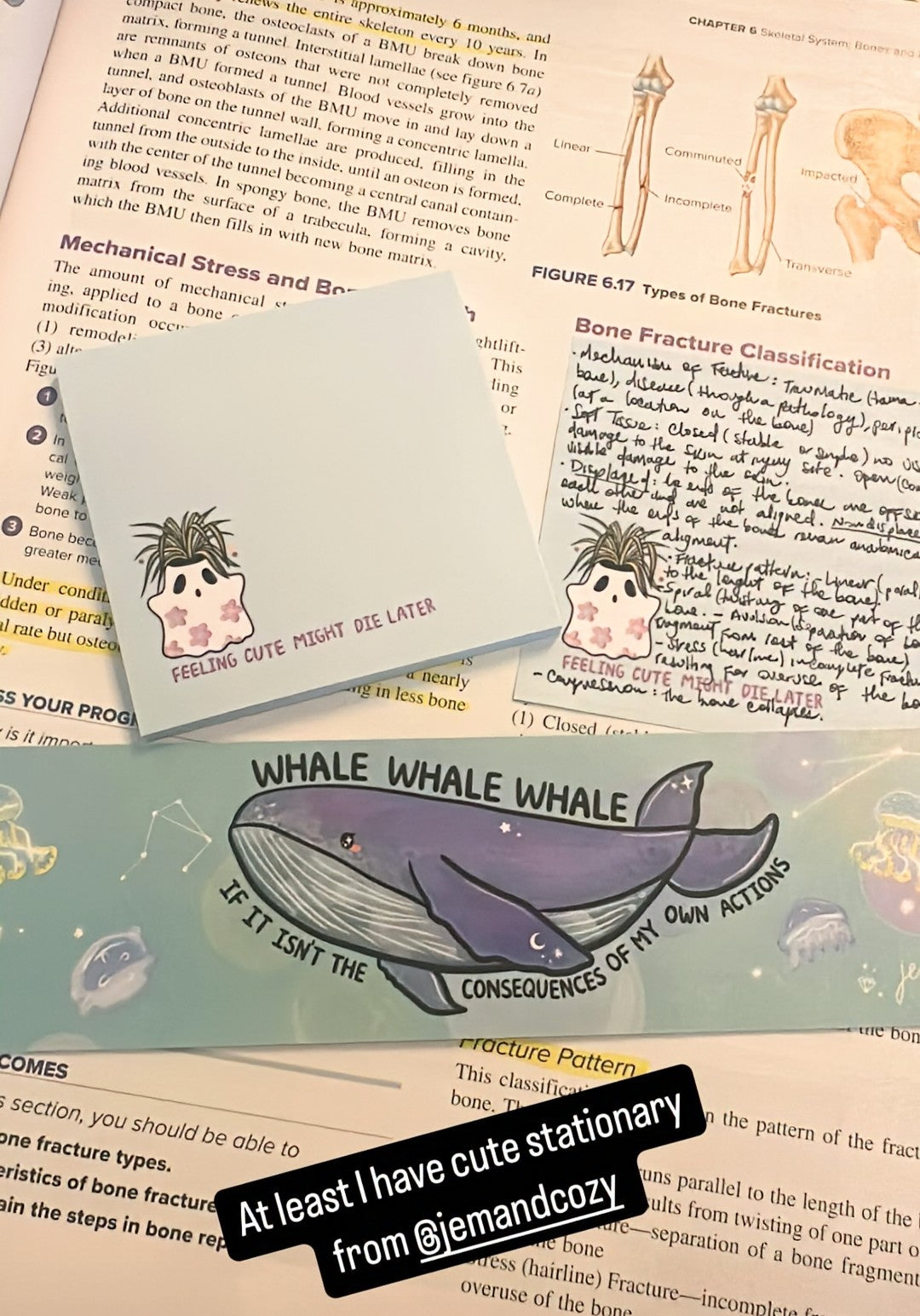 Whale Whale Whale If It Isnt the Consequences of My Own Actions Bookmark