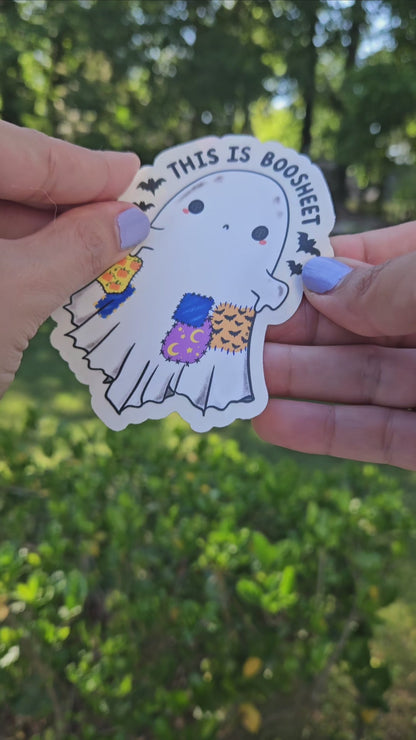 This is Boosheet Rainbow Decal Suncatcher