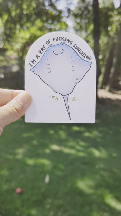 I'm a Ray of Fucking Sunshine Rainbow Decal Suncatcher
