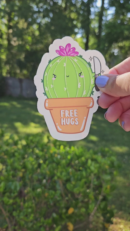 Free Hugs Cactus Rainbow Decal Suncatcher