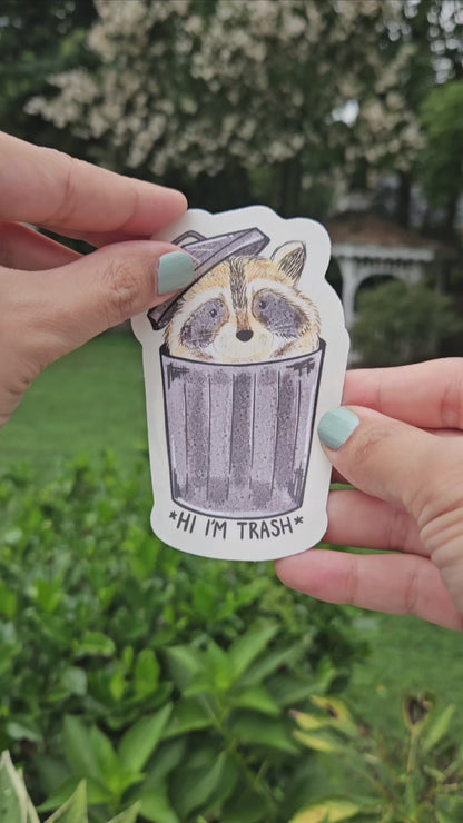 Hi I'm Trash Raccoon Rainbow Decal Suncatcher