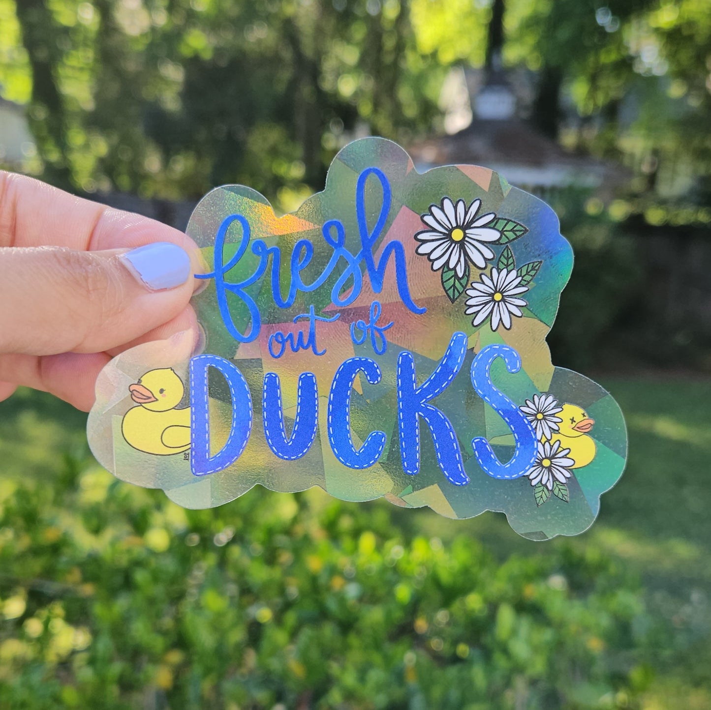 Fresh Out of Ducks Rainbow Decal Suncatcher