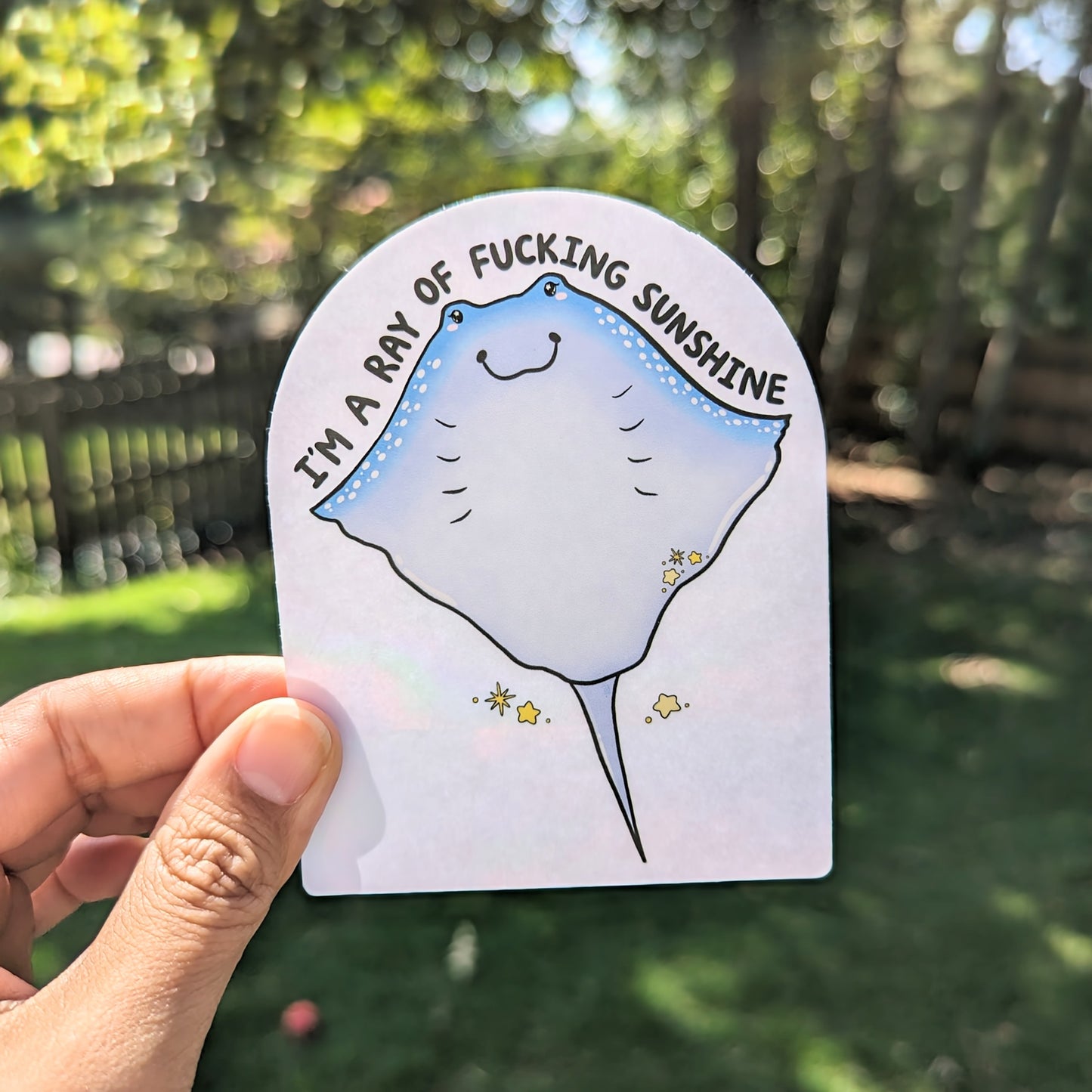 I'm a Ray of Fucking Sunshine Rainbow Decal Suncatcher