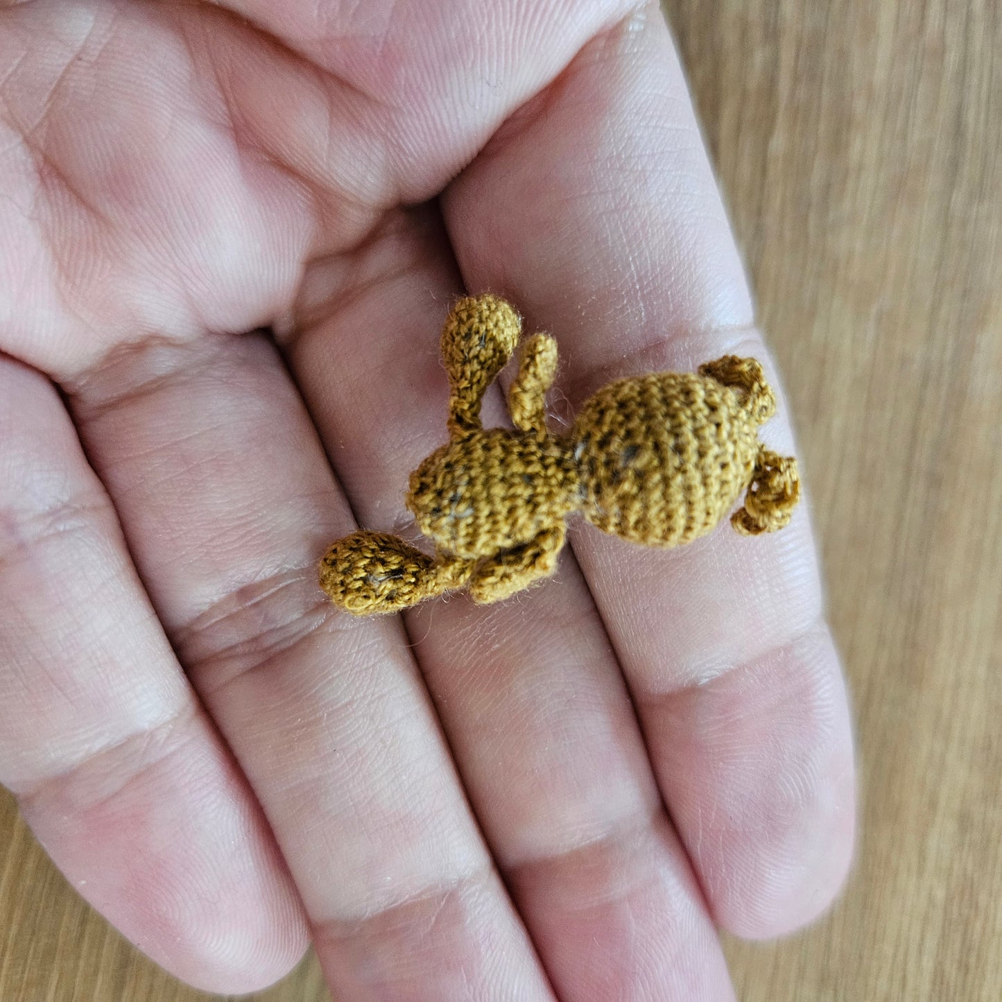 Imperfect Micro Crochet Teddy Bear and Strawberry