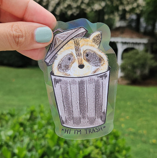 Hi I'm Trash Raccoon Rainbow Decal Suncatcher