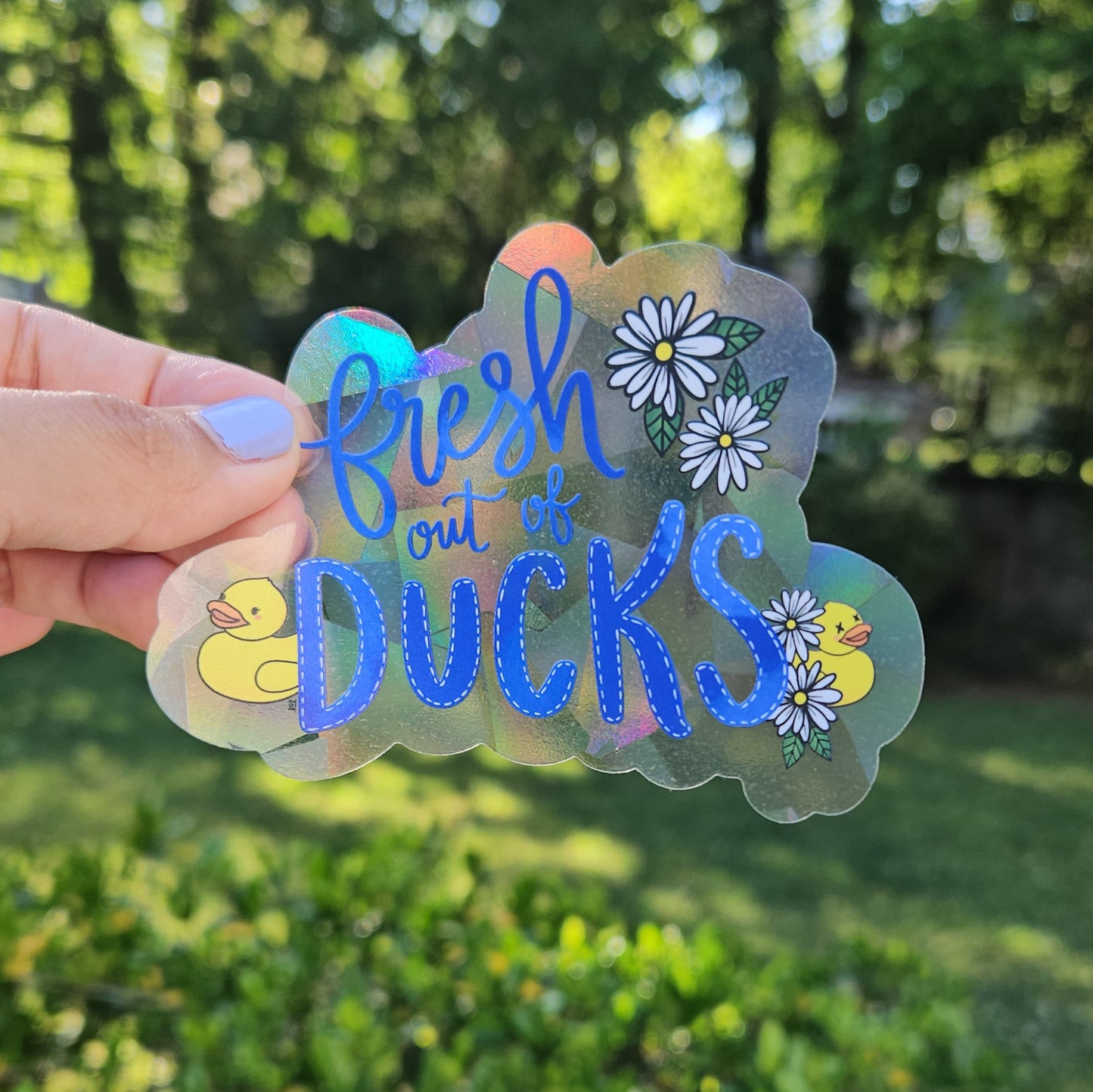 Fresh Out of Ducks Rainbow Decal Suncatcher