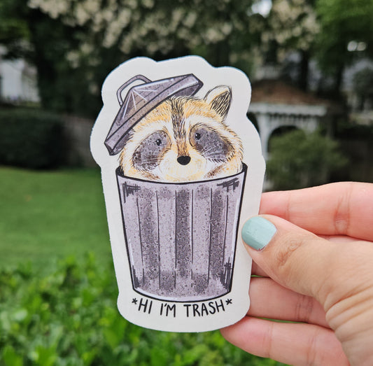 Hi I'm Trash Raccoon Rainbow Decal Suncatcher