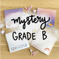 Grade B Mystery Sticky Note Bundle (Set of 3)